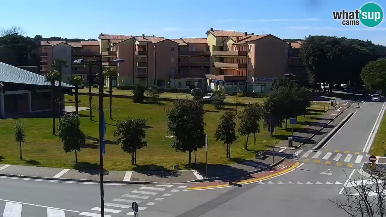 Web kamera Rosolina mare