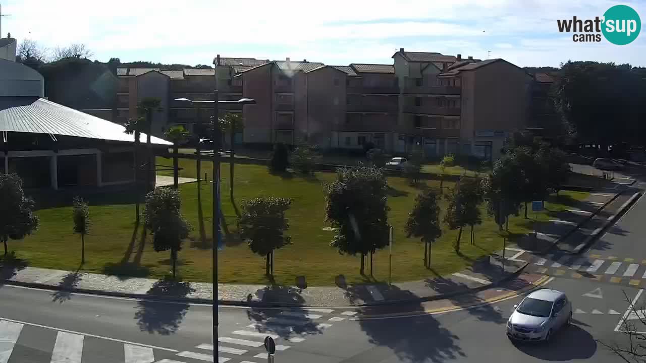 Camera en vivo Rosolina mare