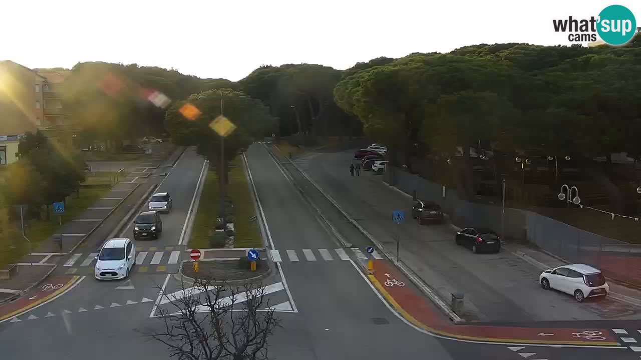 Camera en vivo Rosolina mare