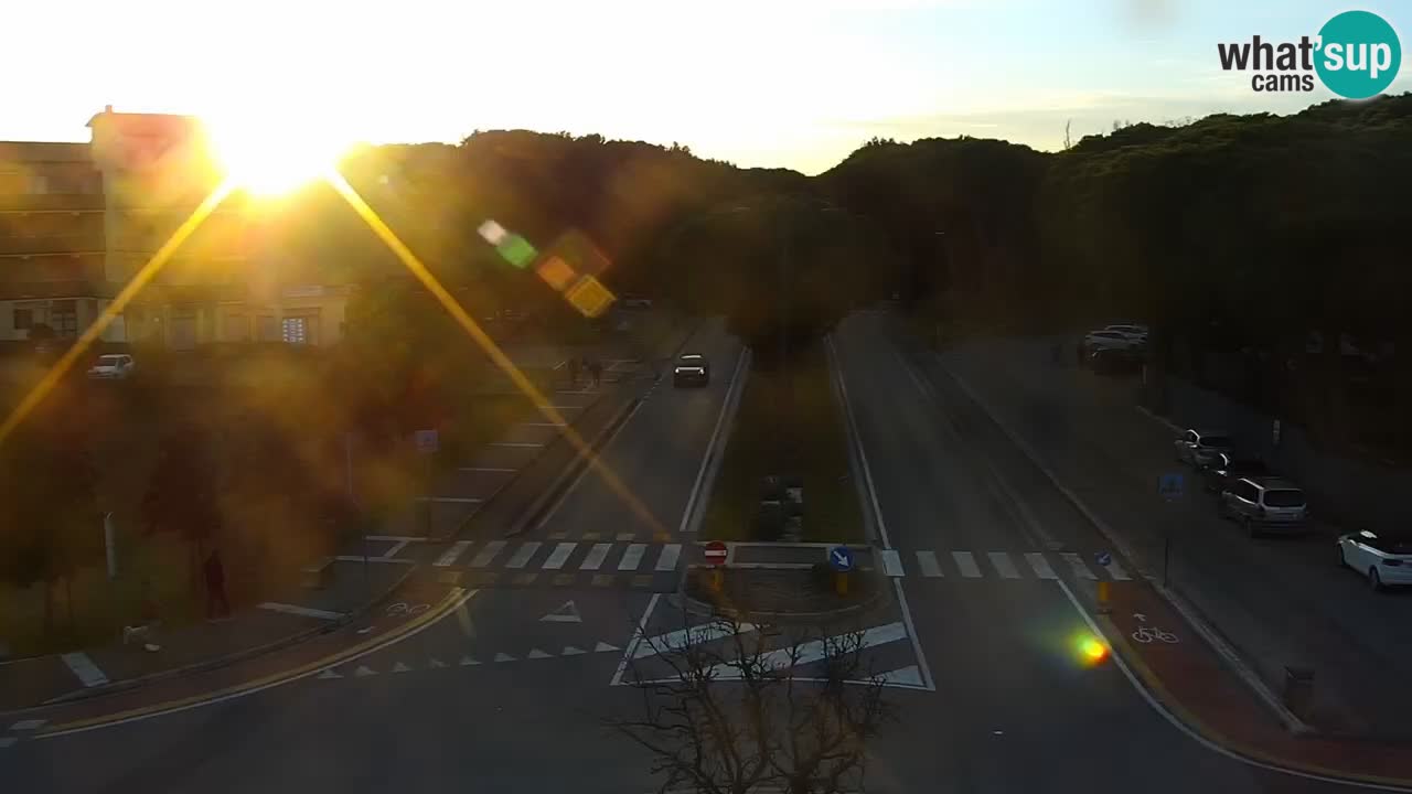 Camera en vivo Rosolina mare