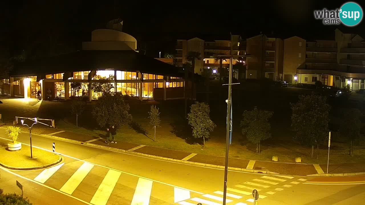 Camera en vivo Rosolina mare