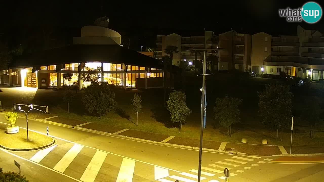 Camera en vivo Rosolina mare