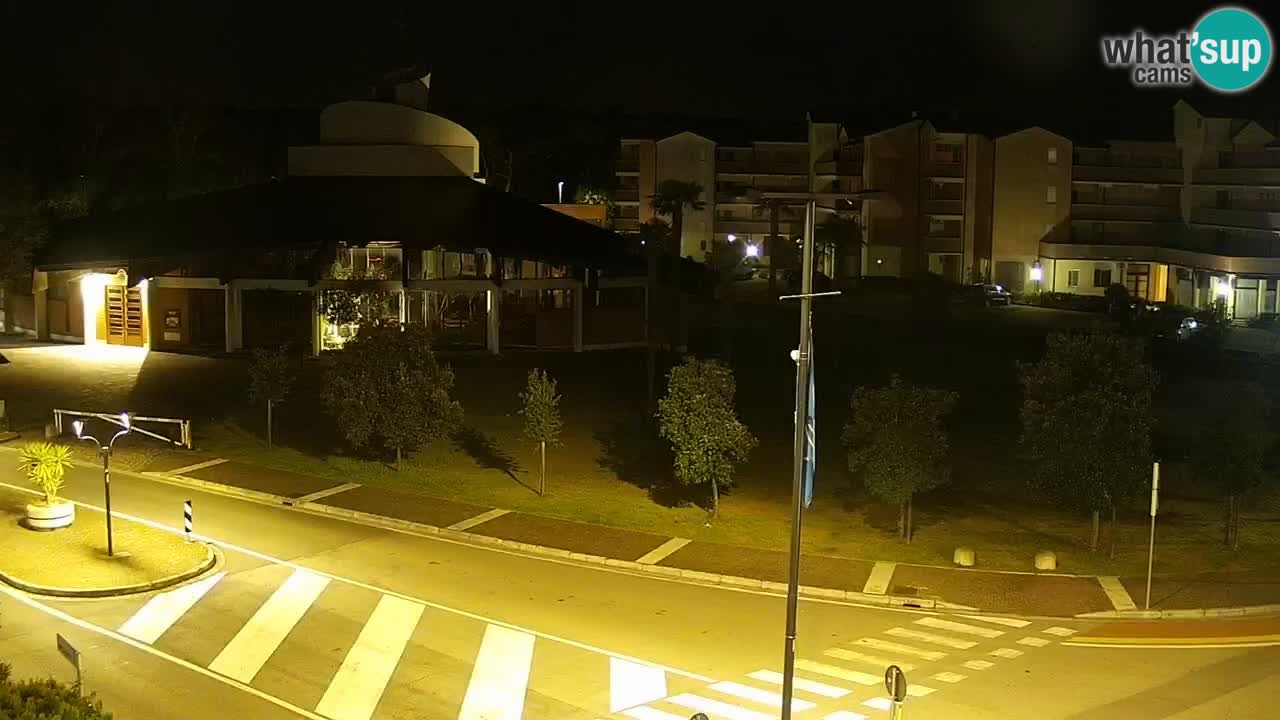 Livecam Rosolina mare