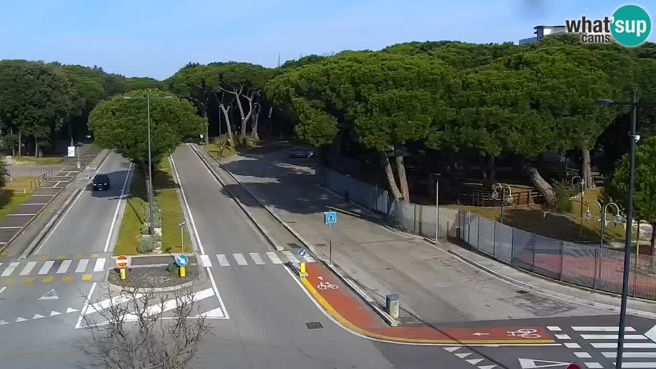 Livecam Rosolina mare