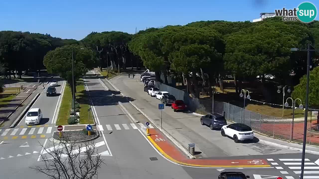 Livecam Rosolina mare