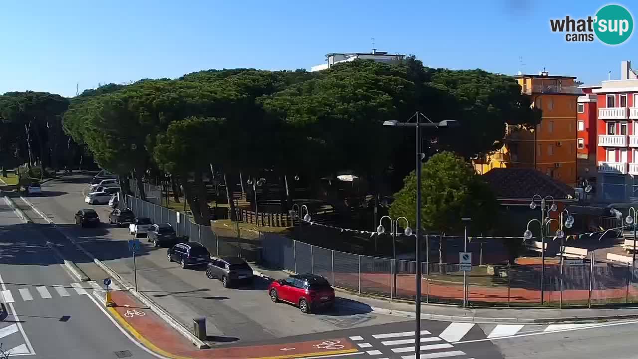 Camera en vivo Rosolina mare