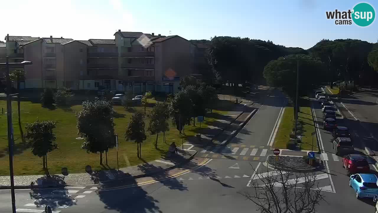 Livecam Rosolina mare