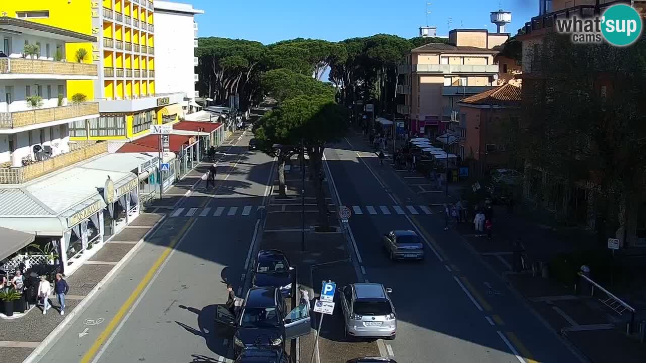 Camera en vivo Rosolina mare