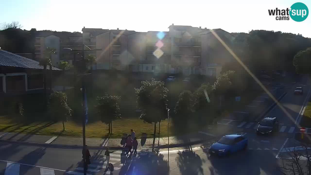 Livecam Rosolina mare