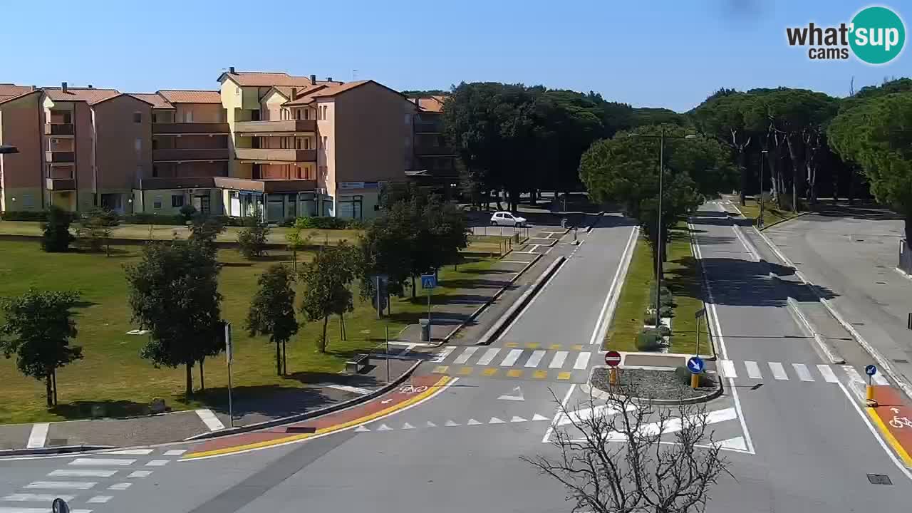 Camera en vivo Rosolina mare