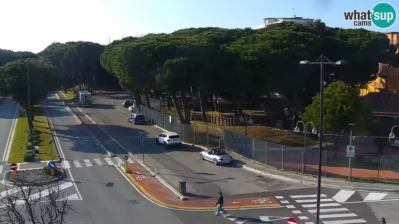 Camera en vivo Rosolina mare