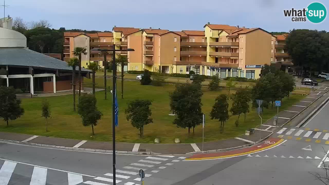 Livecam Rosolina mare