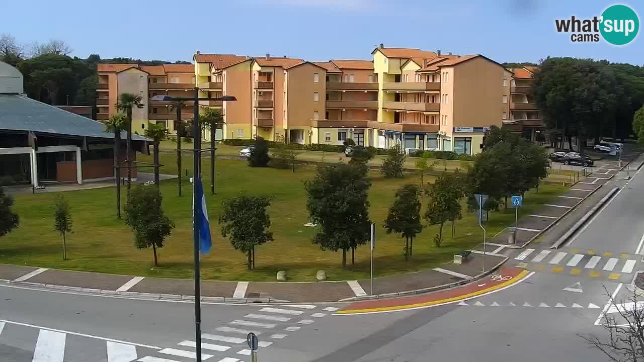 Livecam Rosolina mare