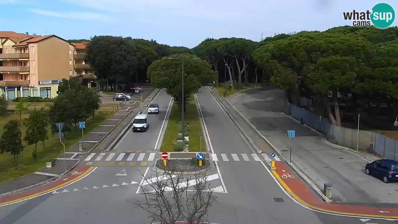 Livecam Rosolina mare