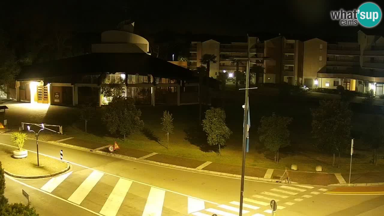 Livecam Rosolina mare