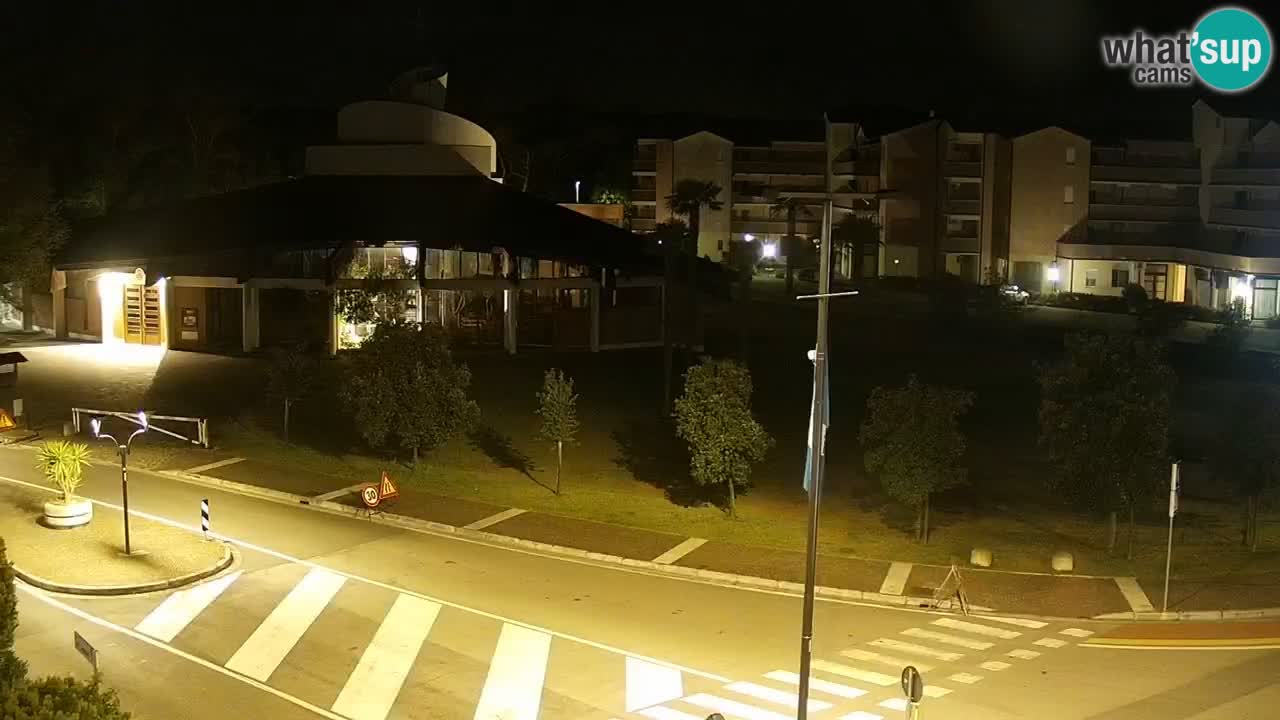 Livecam Rosolina mare