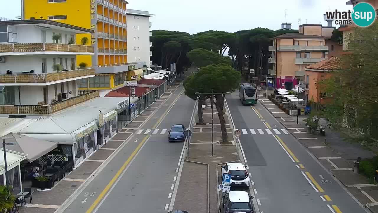 Livecam Rosolina mare