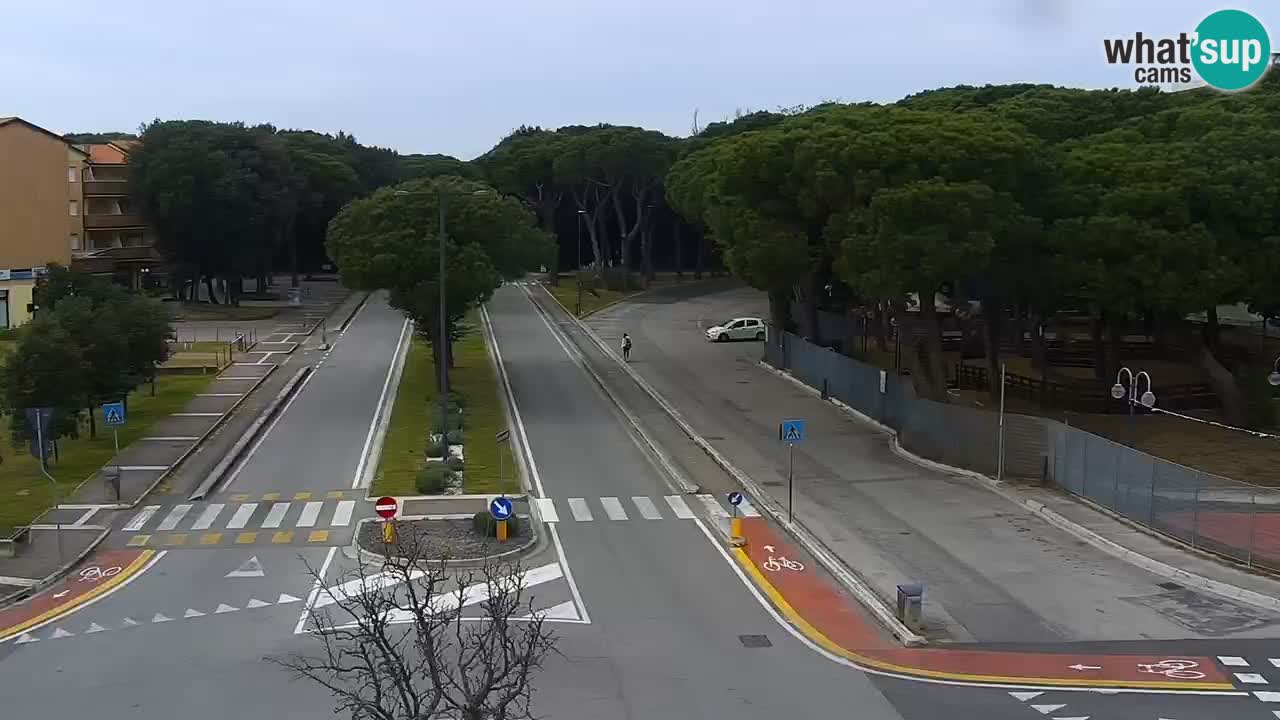 Camera en vivo Rosolina mare