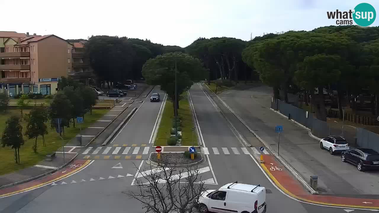 Camera en vivo Rosolina mare