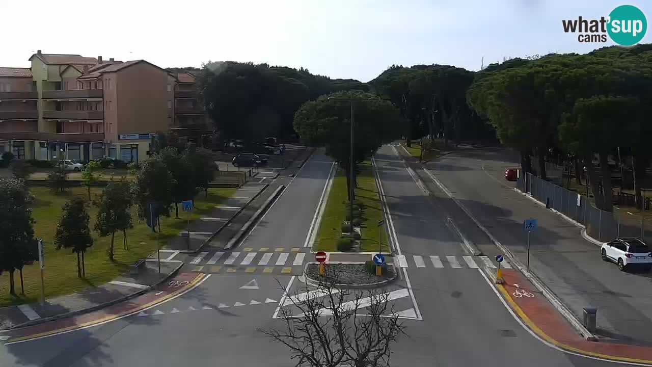 Camera en vivo Rosolina mare