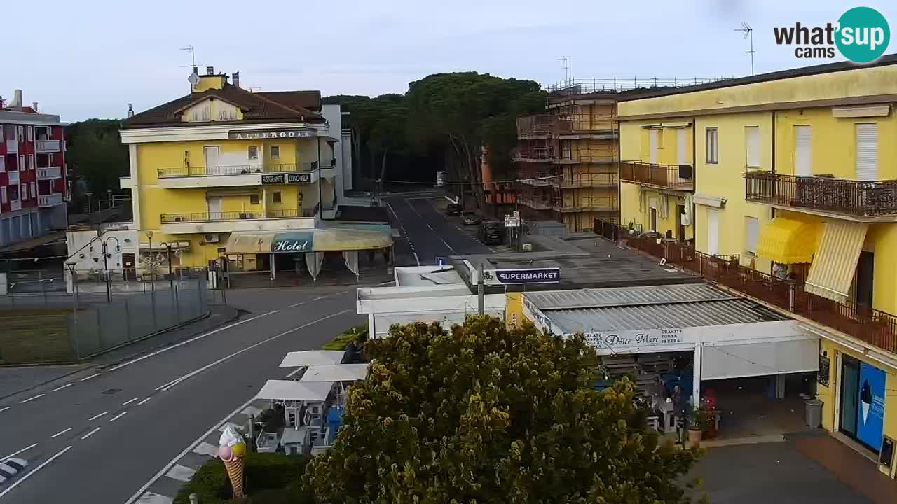Livecam Rosolina mare