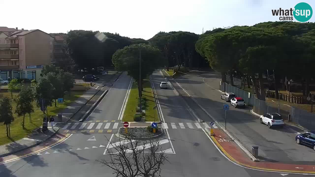 Camera en vivo Rosolina mare