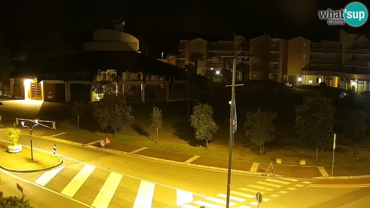 Camera en vivo Rosolina mare