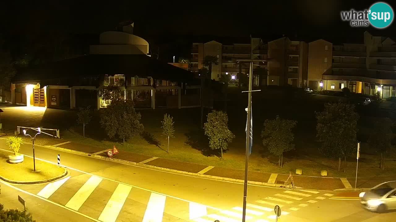 Camera en vivo Rosolina mare