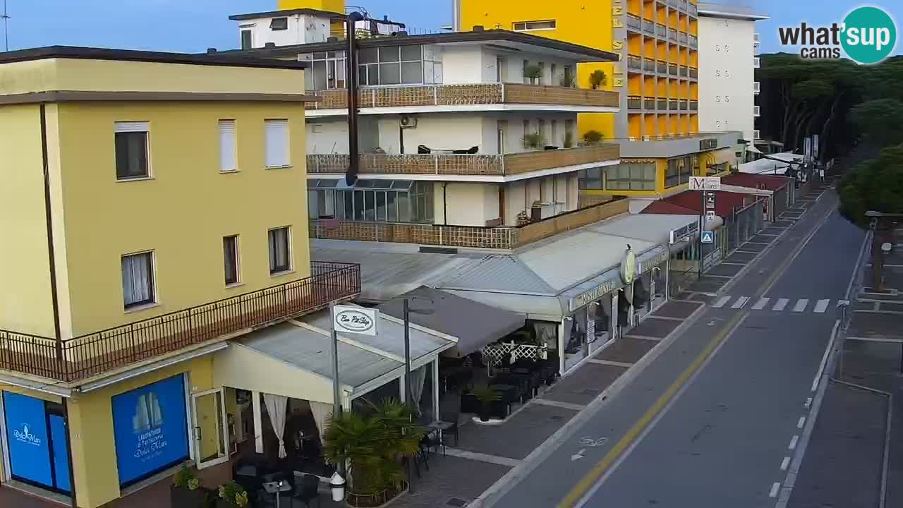 Camera en vivo Rosolina mare