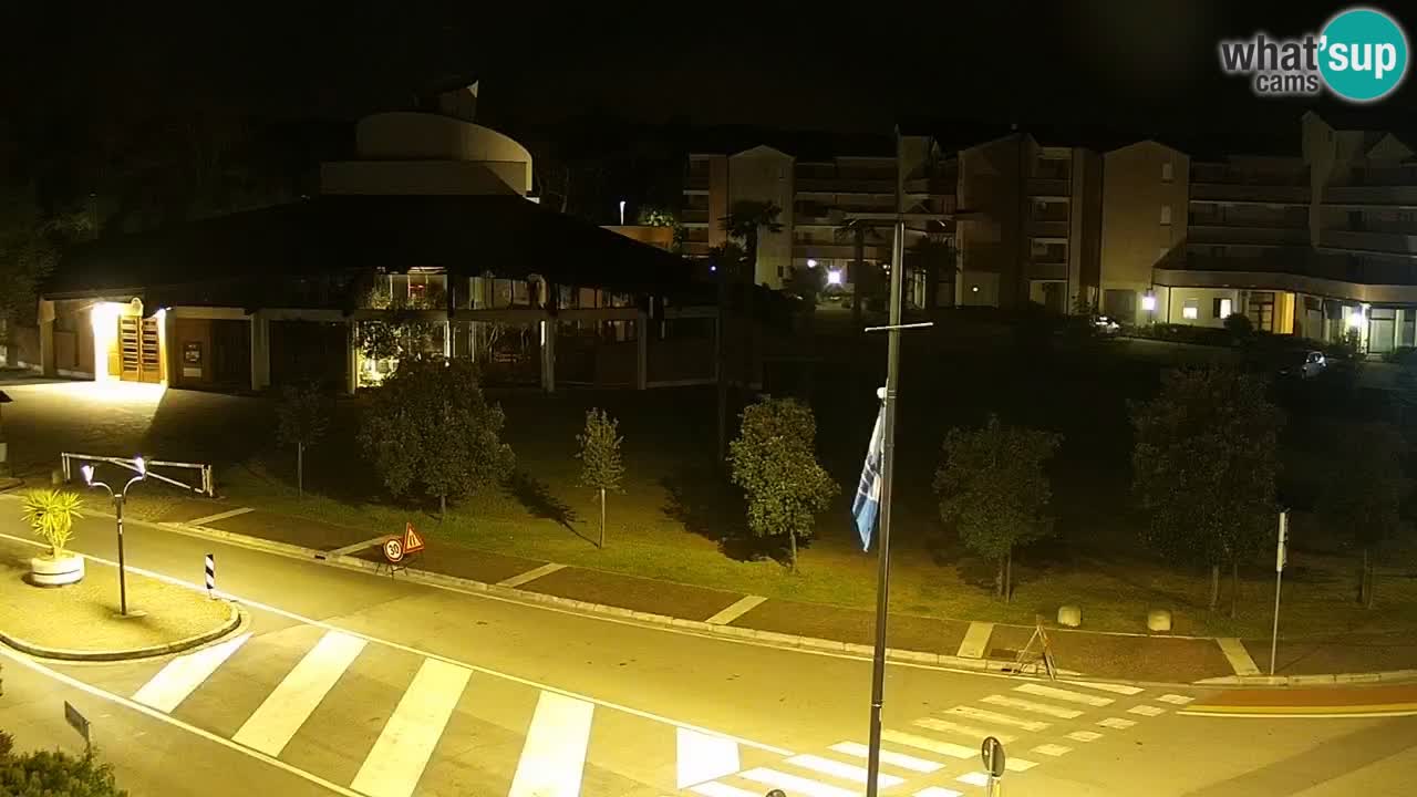 Camera en vivo Rosolina mare