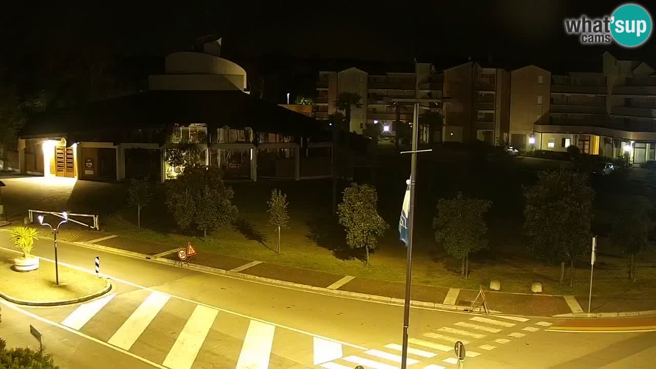 Camera en vivo Rosolina mare