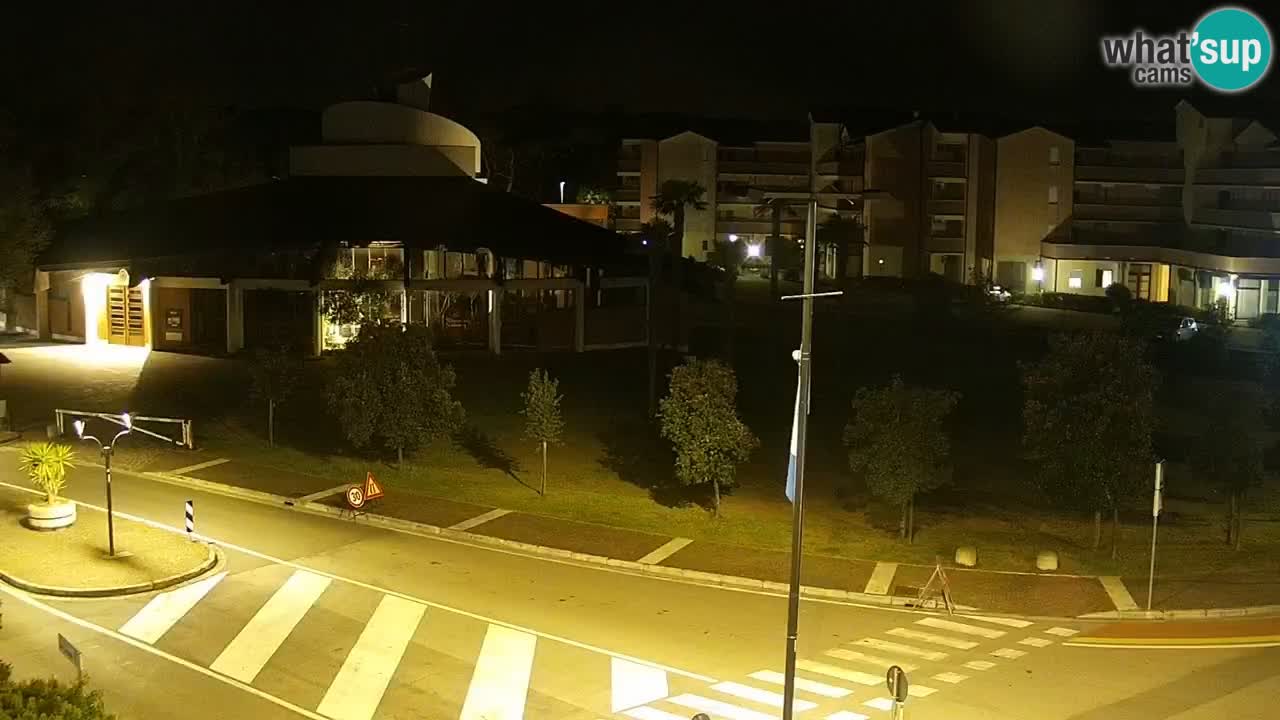 Camera en vivo Rosolina mare