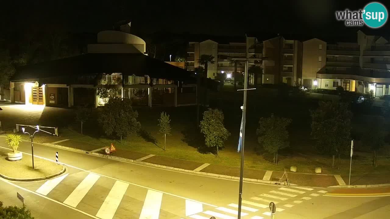 Livecam Rosolina mare