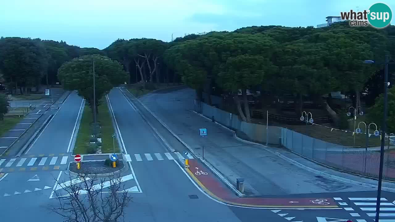 Camera en vivo Rosolina mare