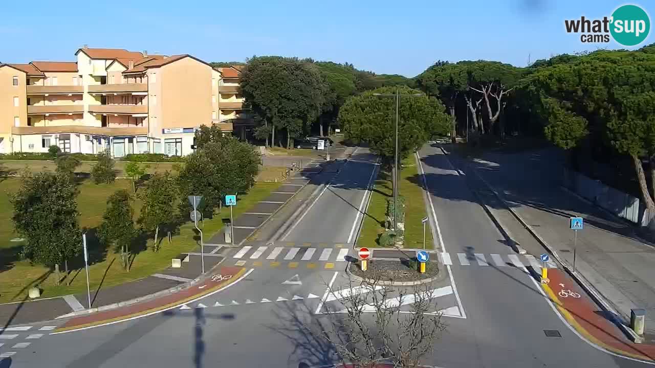 Livecam Rosolina mare