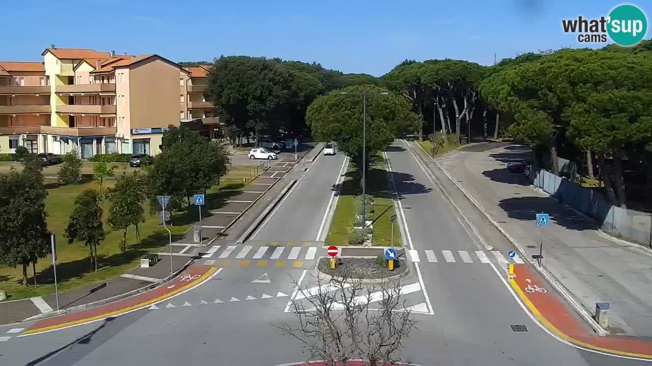 Camera en vivo Rosolina mare