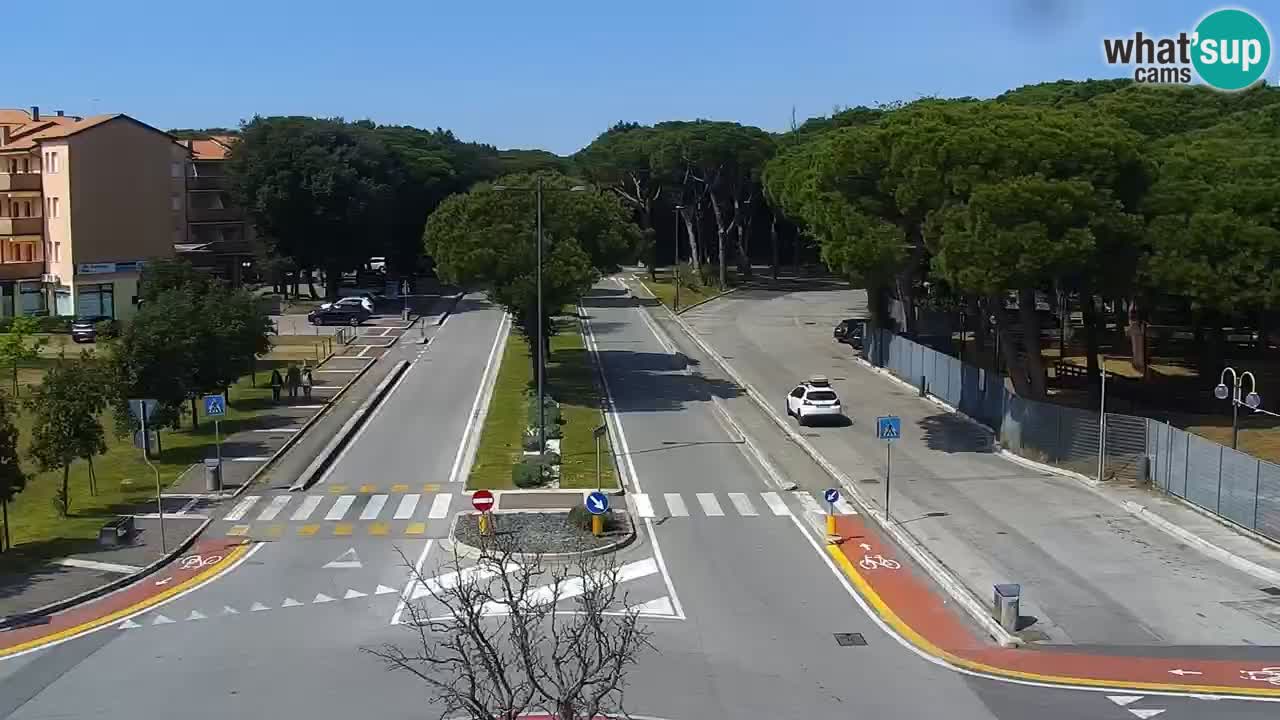 Camera en vivo Rosolina mare