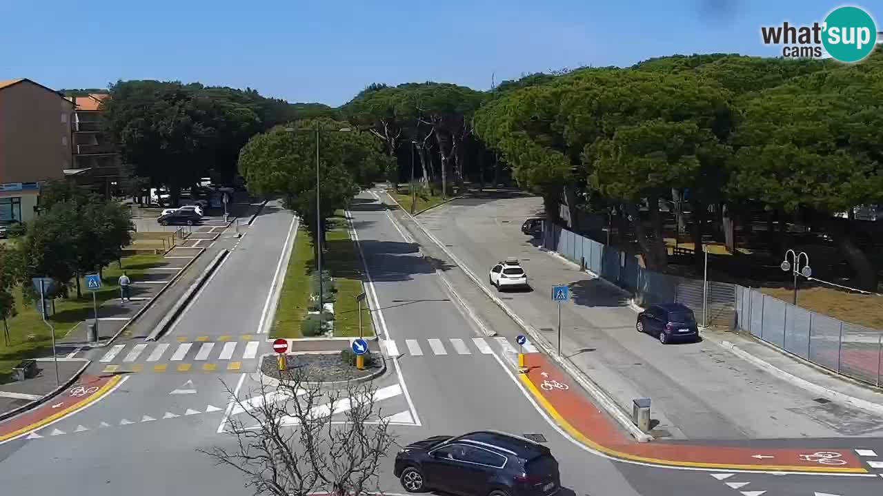 Camera en vivo Rosolina mare