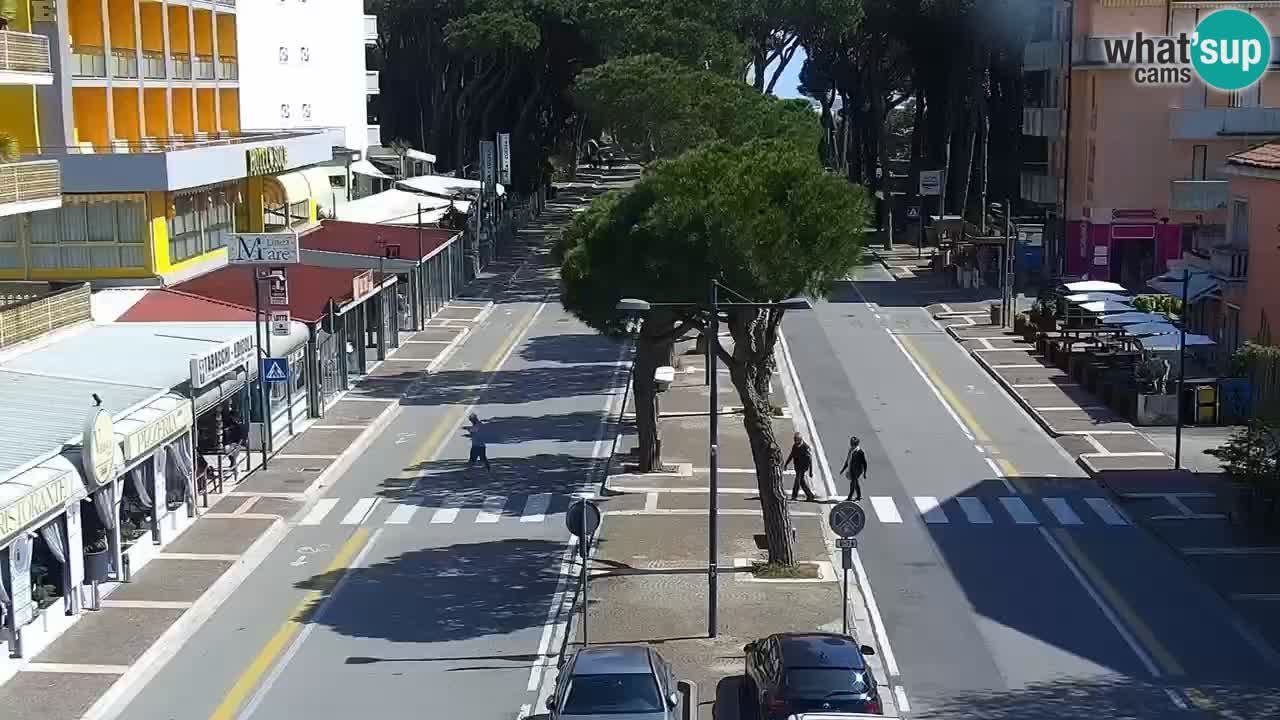 Camera en vivo Rosolina mare