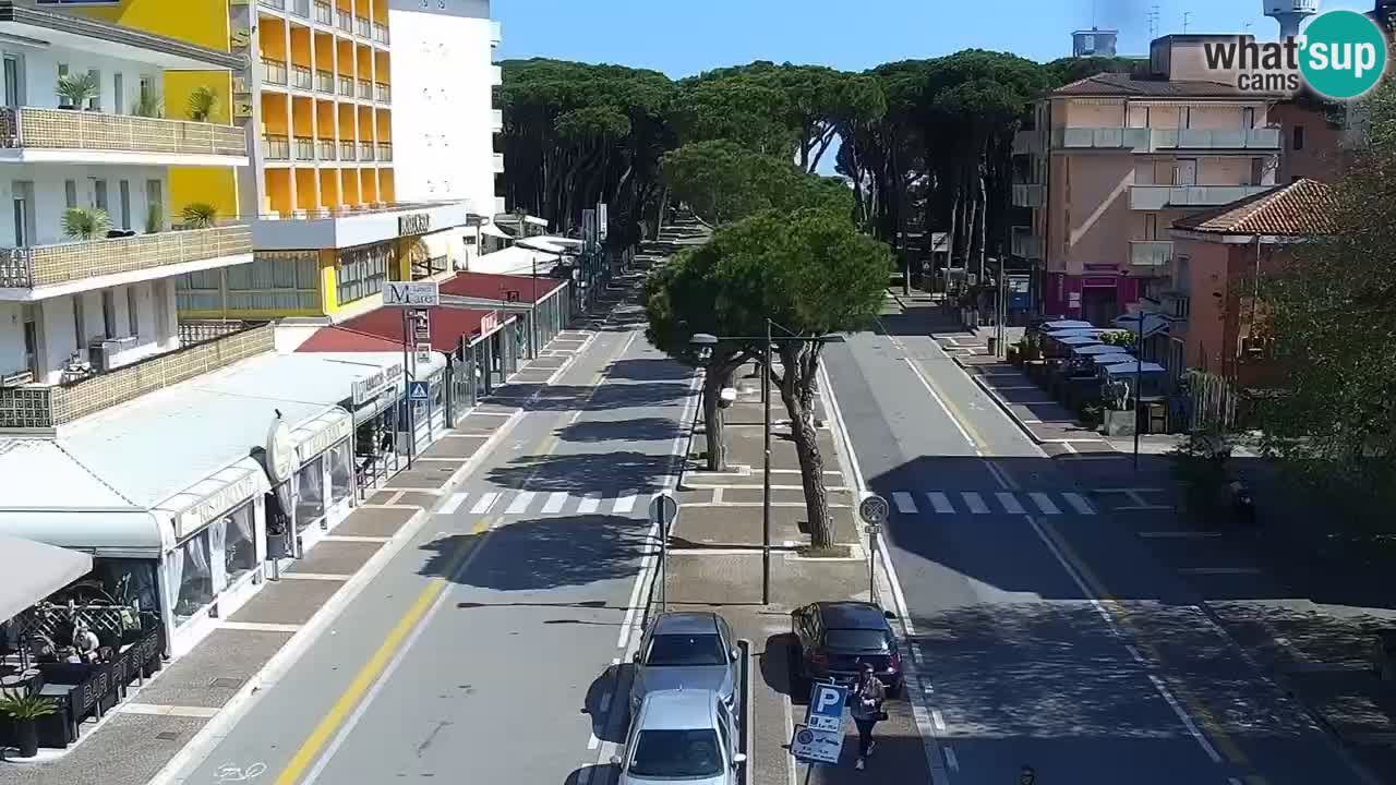 Camera en vivo Rosolina mare