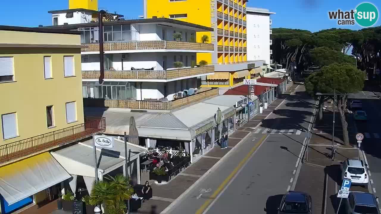 Livecam Rosolina mare