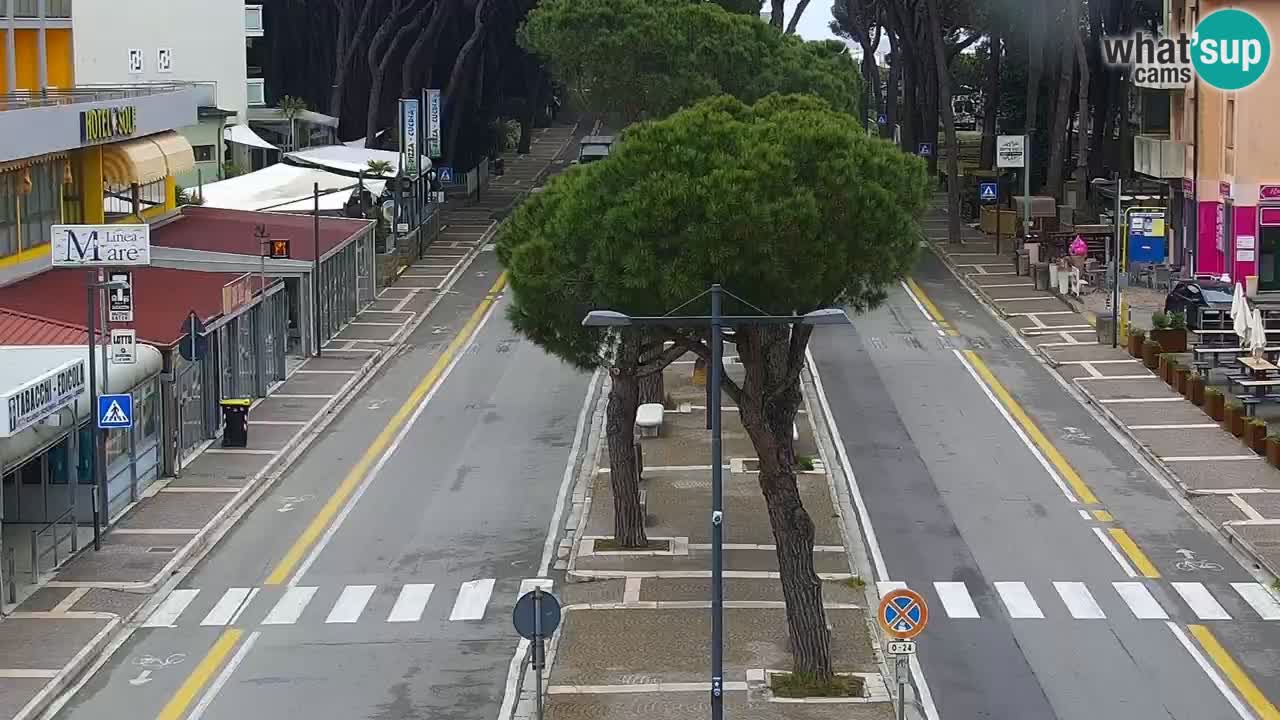 Camera en vivo Rosolina mare