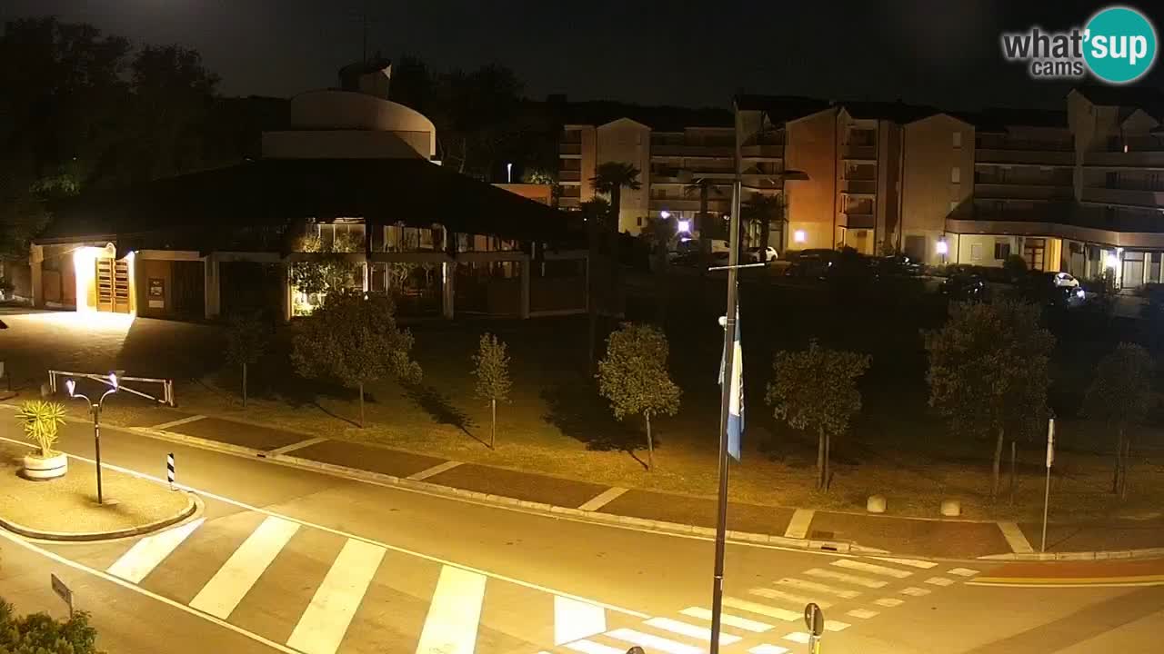 Livecam Rosolina mare