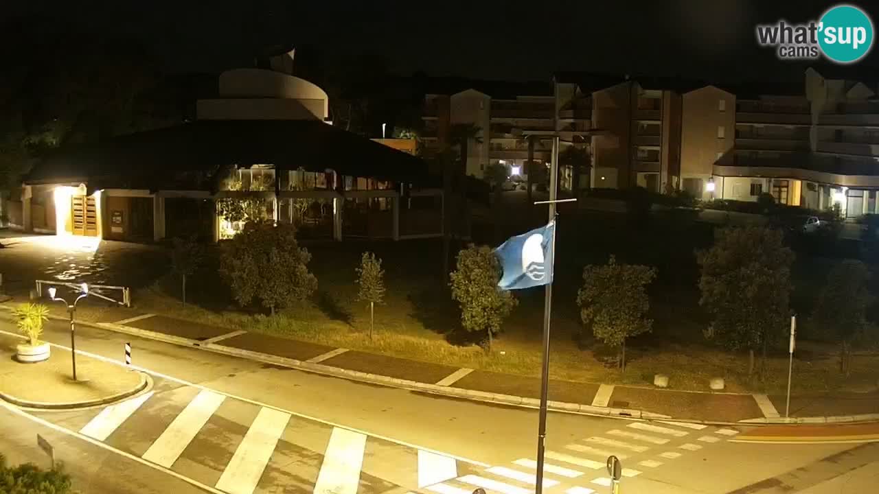 Livecam Rosolina mare