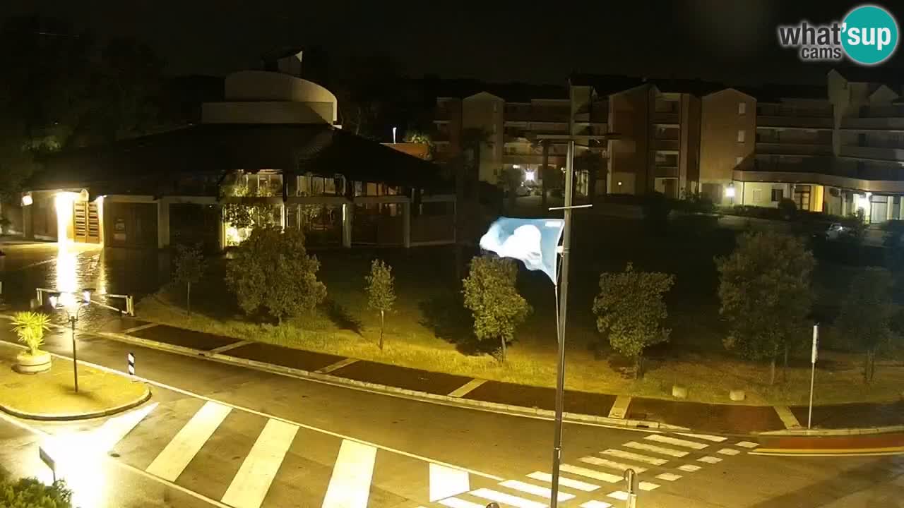 Livecam Rosolina mare