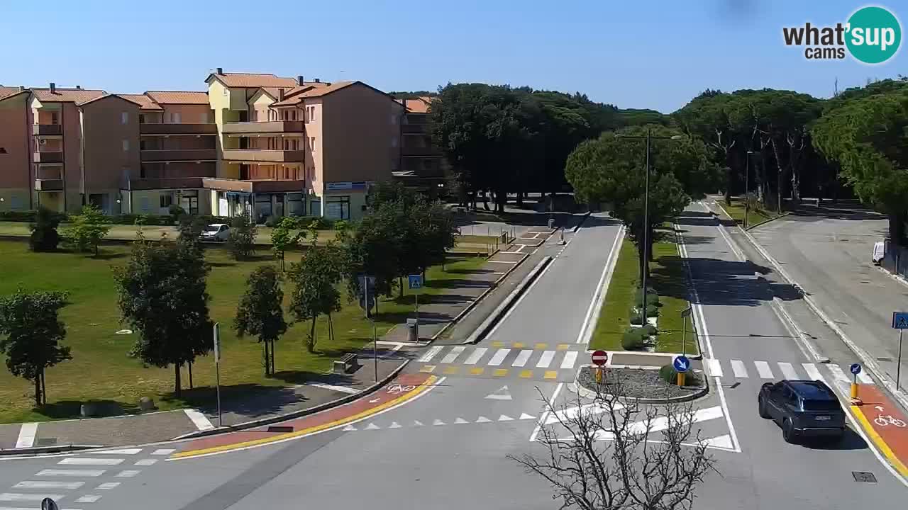 Camera en vivo Rosolina mare