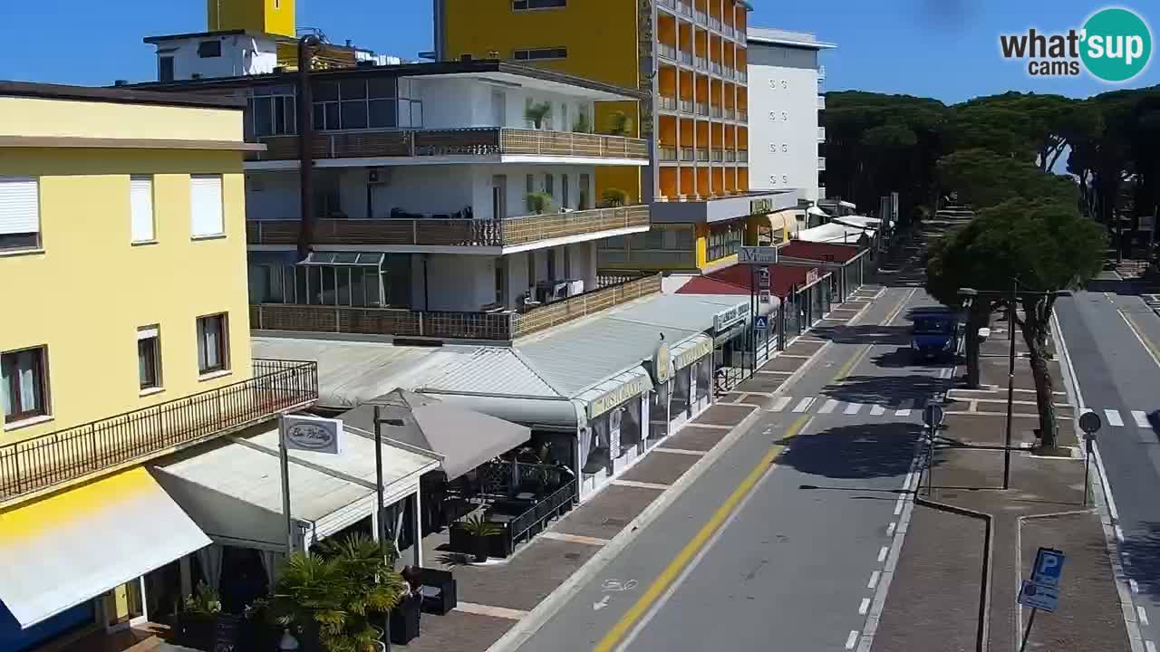 Camera en vivo Rosolina mare