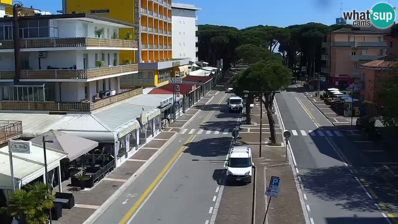 Camera en vivo Rosolina mare