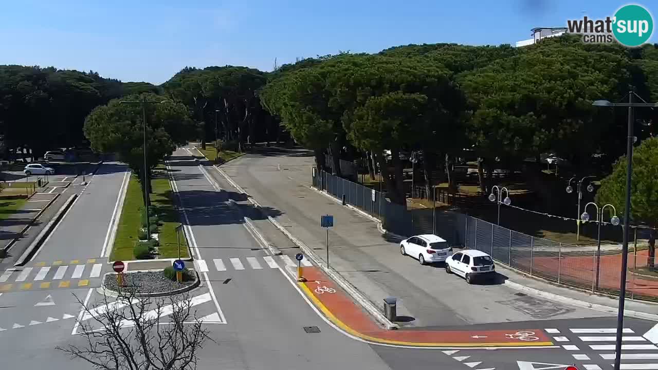 Camera en vivo Rosolina mare