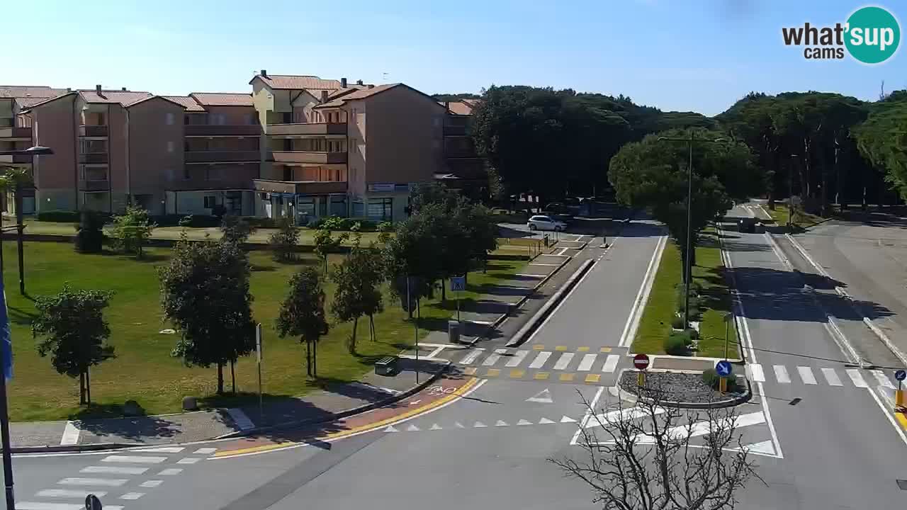 Livecam Rosolina mare